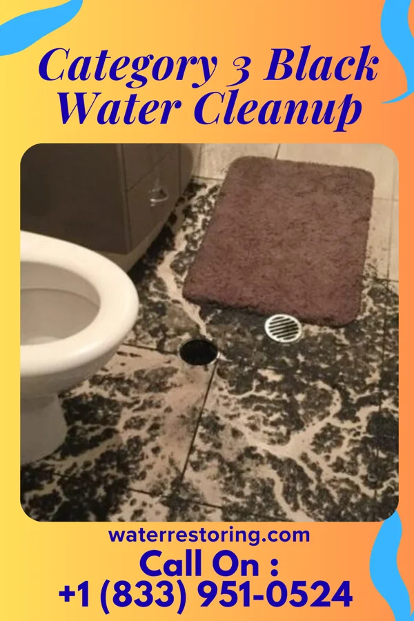 Category 3 Black Water Cleanup in Paw Paw, WV