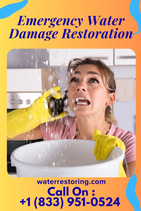 Emergency Water Damage Restoration in Paw Paw, WV