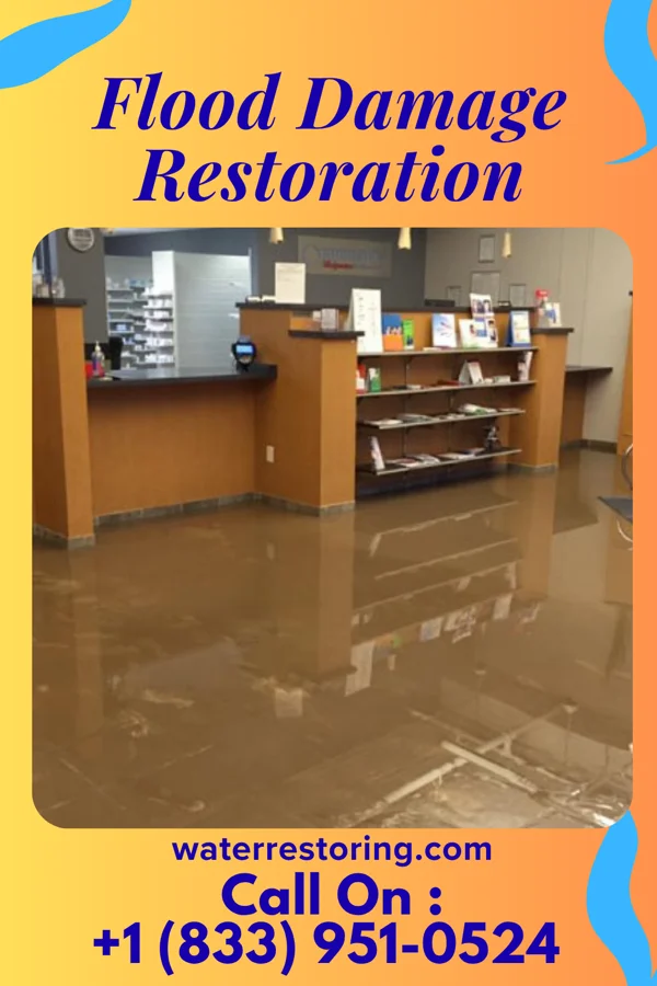 Flood Damage Restoration in Paw Paw, WV