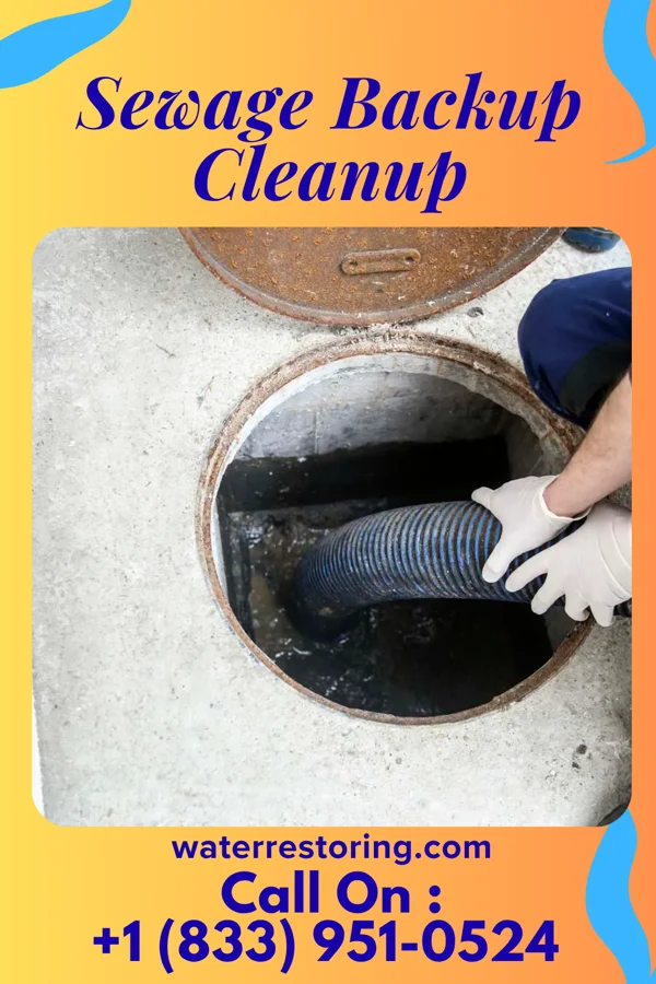 Sewage Backup Cleanup in Paw Paw, WV