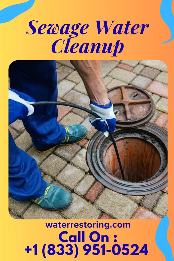 Sewage Water Cleanup in Paw Paw, WV